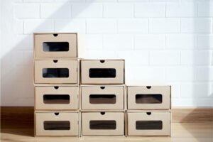 Best Shoe Storage Boxes