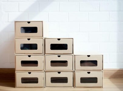 Best Shoe Storage Boxes